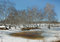 Free The Last Snow Is In Spring In The Forest Stock Photography - 4872792