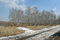 Free The Last Snow Is In Spring In The Forest Stock Image - 4872801