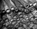 Free Caned Royalty Free Stock Photos - 4880918