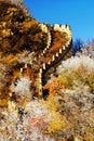 Free Golden Great Wall Royalty Free Stock Images - 4884239
