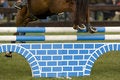 Free Horse Jumping 036 Royalty Free Stock Photography - 4894957