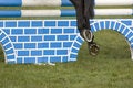 Free Horse Jumping 026 Royalty Free Stock Image - 4894966