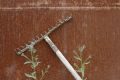 Free Old Rusty Rake Royalty Free Stock Images - 494559
