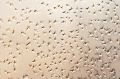 Free Frozen Water Drops Stock Image - 496861