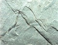 Free Natural Stone-A Stock Images - 497504