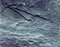 Free Natural Stone-D Stock Photography - 499102