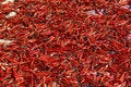 Free Myanmar, Kalaw: Red Pepper Royalty Free Stock Photography - 4901077