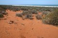 Free Shrubby Plants And Idyllic Beach Stock Images - 4906834