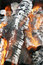 Free Fire Royalty Free Stock Photography - 4905867