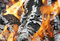 Free Fire Stock Images - 4905874