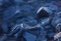 Free Blue Rock Blur Royalty Free Stock Images - 4913959