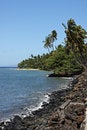 Free Maui Coastline Royalty Free Stock Photos - 4914298