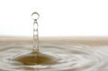 Free The Drop Royalty Free Stock Photos - 4915718