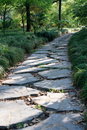 Free Endless Road Stock Photos - 4919143