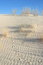Free Tracks In The Sand Royalty Free Stock Photography - 4910447