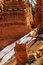 Free Bryce Canyon Valley View Royalty Free Stock Images - 4917169