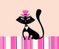 Free Pet Cat Royalty Free Stock Images - 4925049