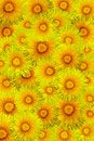 Free Dandelion Frame Royalty Free Stock Image - 4927706