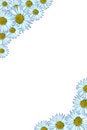 Free Daisy Background Stock Photos - 4928753