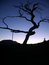 Free Frank Slide Tree 2 Stock Photography - 4921682