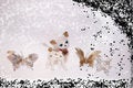 Free Reindeer In The Snow 5 Stock Image - 4930461