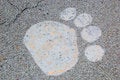 Free Paw Print On Road Royalty Free Stock Photos - 4932108