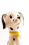 Free Dog Dalmatian Stock Image - 4930531