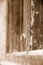 Free Window Stock Photo - 4938310
