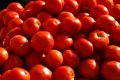 Free Fresh Heirloom Tomatoes Royalty Free Stock Photography - 4947187