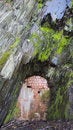 Free Stone-Pit With Entrance Royalty Free Stock Images - 4949749