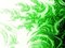 Free Abstract Green Side Flame Royalty Free Stock Photos - 4958968