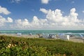 Free Beach Chairs And Umbrellas On Beach Royalty Free Stock Photos - 4962918