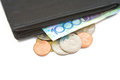 Free Purse With Cash Stock Photos - 4963923