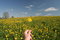 Free Dandelion Field Stock Image - 4964781