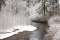 Free Snowy Creek Royalty Free Stock Image - 4972956