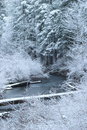 Free Snowy Creek Stock Photos - 4973123