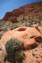 Free Red Rock Canyon Mountainside Royalty Free Stock Photo - 4973345