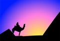 Free Person On A Camel Royalty Free Stock Images - 4977129