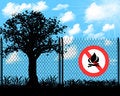 Free Save Tree Royalty Free Stock Images - 4978079