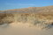 Free Gypsum Sand Dunes Stock Photography - 4972962