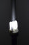Free Lighting Self-ballasted Economical Lamp Stock Images - 4973314