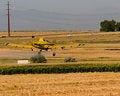 Free Crop Duster Stock Photos - 4983203