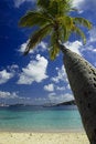 Free Beach Dreams Royalty Free Stock Photo - 4988685