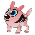 Free Funny Animal Royalty Free Stock Photography - 4989137