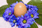 Free Easter Egg With Blue Flowers Royalty Free Stock Photos - 4982038