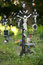 Free Cemetery Of The Unknown Deceased Vienna Royalty Free Stock Photos - 4985348