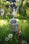 Free Cemetery Of The Unknown Deceased Vienna Stock Photography - 4985352