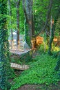 Free Tranquil Hammock Stock Photos - 4991323