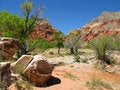 Free Creek At Red Rock Canyon Royalty Free Stock Images - 4992749