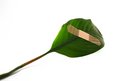 Free Global Warming Leaf Bandaged Royalty Free Stock Photography - 4996957